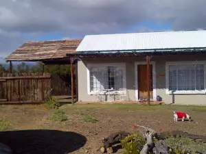 볼페크랄 게스트 팜