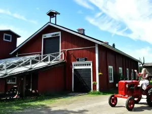 Hevossilta