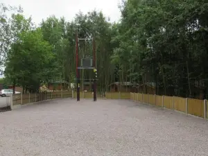 雷丁斯伍德山林小屋露營地
