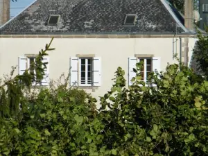 Chez Vous Chez Nous