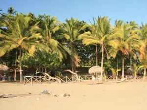 Hotel Oasis & Surf Camp
