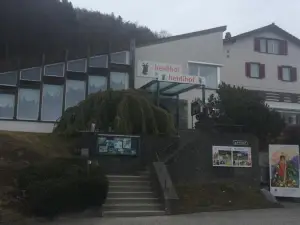 Hotel Restaurant Heidihof