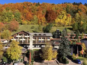 Aktiv & Spa Hotel Alpenrose