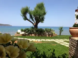 에르메스 비치 스튜디오