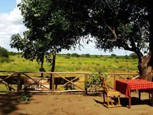 Selous Adili Forest Camp