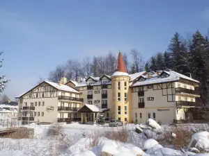諾瓦-滑雪SPA飯店