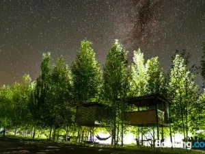 Crossway Camping