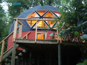 Bosque Vivo