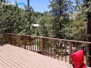 Time Traveler Retreat