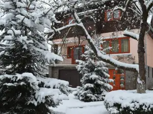 Casa Camelia