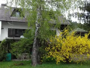 Sara Apartman Paradfurdo