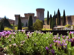 B&B Il Castello