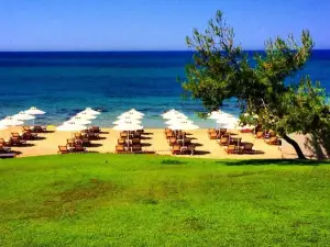 Artemis Suites