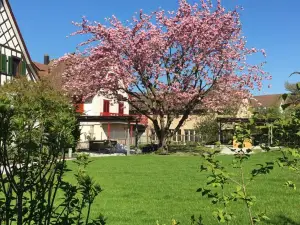 Ferienhotel Bodensee