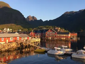 Lofoten Fishing