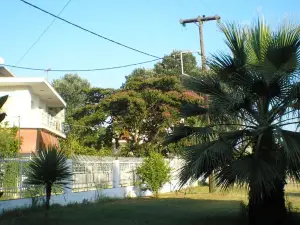 Palacio Verde