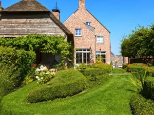 B&B Vinedo