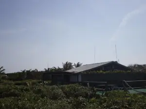Grajagan Surf Resort