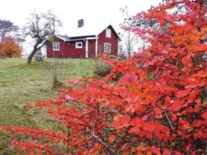 Holiday Home Västerhult Hamneda