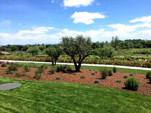 Garça Real Hotel & Spa
