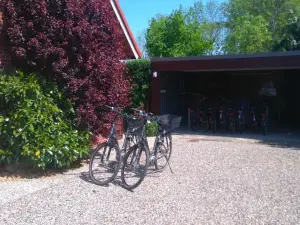 Ferienhof Christian Und Antje Hopp