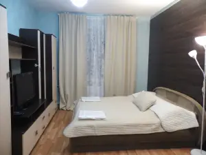Apartment on Mashinistov