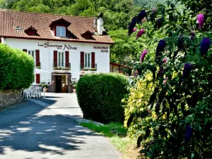 Les Sources de La Nive