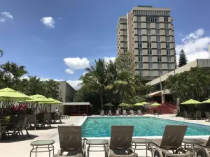 洪都拉斯馬雅酒店