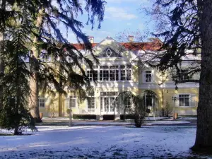 Château Visz