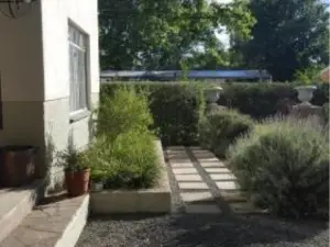 Olive Manor Guest House
