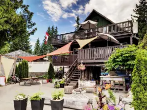 Alpine Village Resort