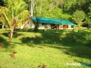 Jungle Retreat