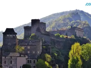 La Colline du Chat Perche