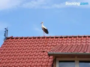 Winnica Na Leśnej Polanie