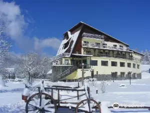 Bran Belvedere International