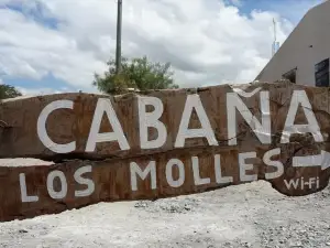 Cabaña Los Molles