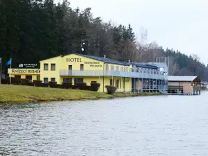 Hotel&Wellness Knizeci rybnik