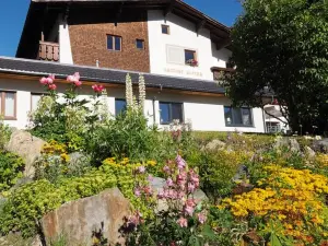 Hotel Alpina