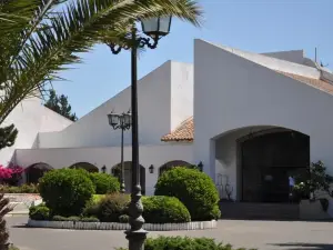 Hotel Marbella Resort