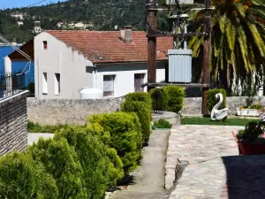 Iris Apartments Ithaca