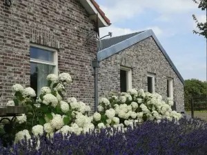 B & B " de 7 Sprong "