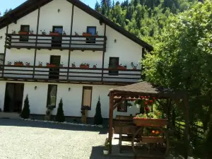 Casa Ursului