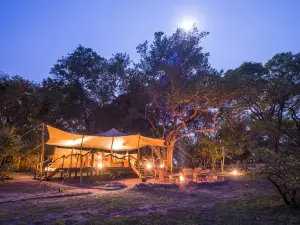 Mukambi Fig Tree Bush Camp – All Inclusive