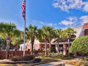 Residence Inn Tampa at USF/Medical Center