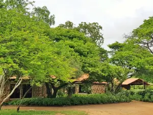 Belvedere Game Ranch