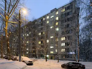 Domumetro Apartment on Vernadskogo 89