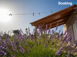 Krcina Holiday Home