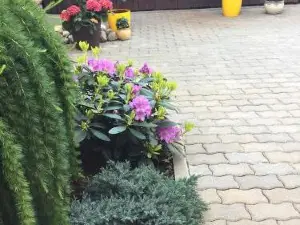 Apartamentai Fortuna