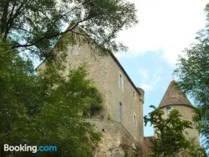 Montenaut