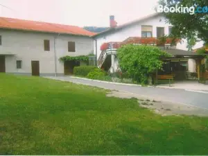 Janezinovi House